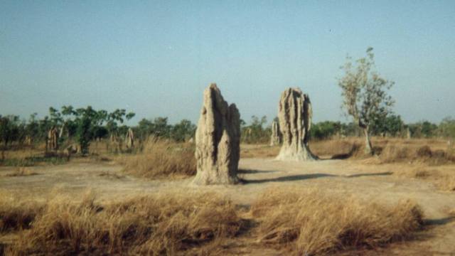 Magnetic Mound