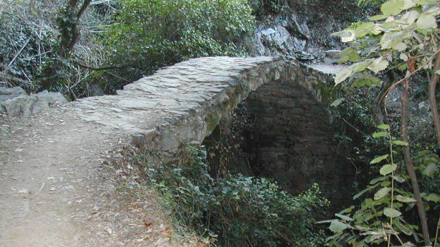 Rustic Trollbridge