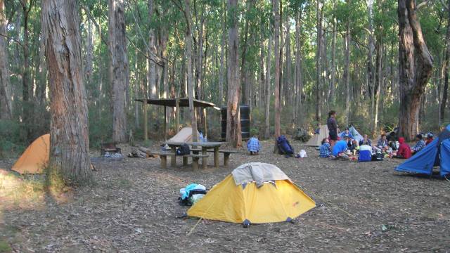 Cobboboonee Camp Crowd